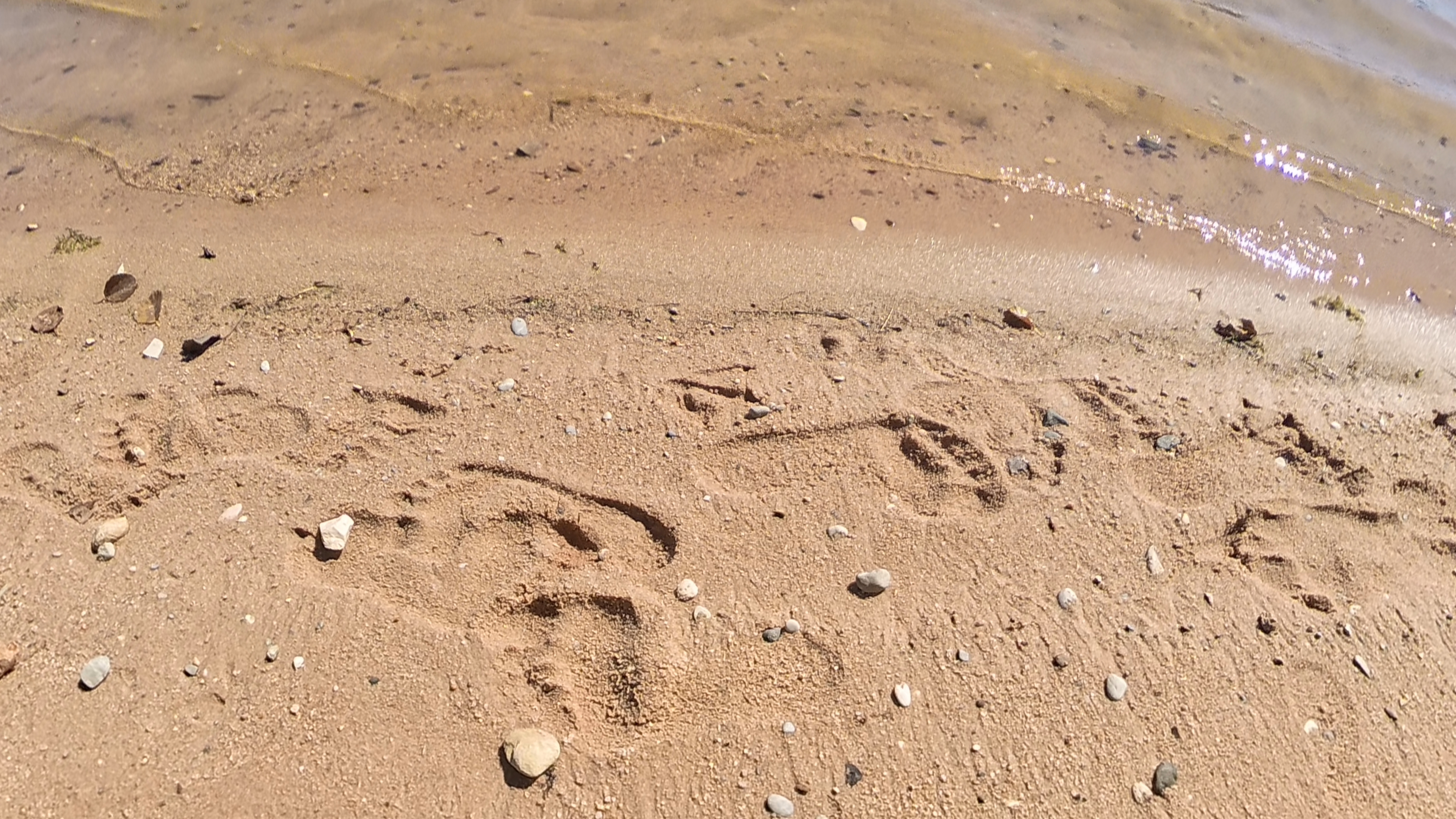 25-Spuren am Strand